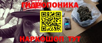 прущие грибы Нарткала