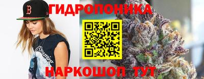 прущие грибы Нарткала