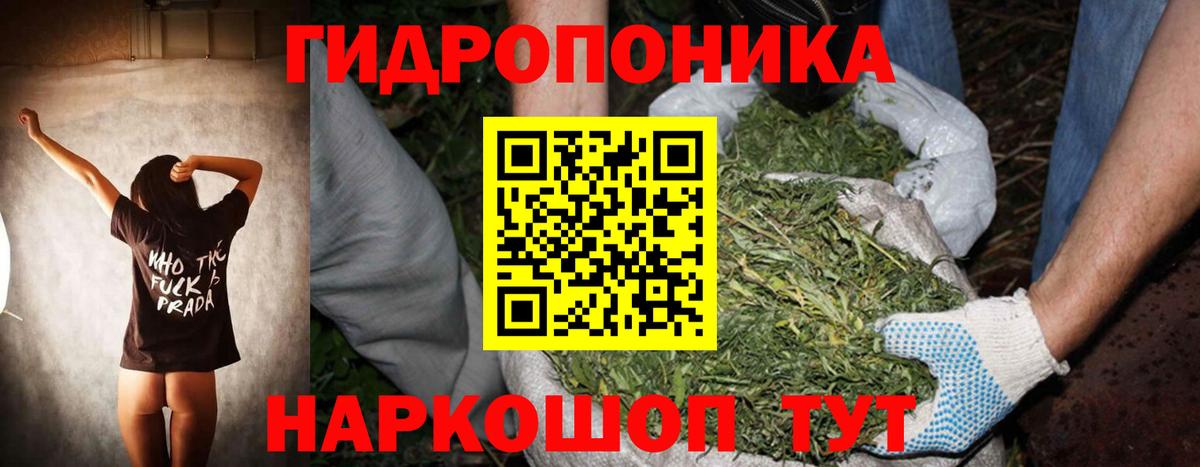 Уссурийск  Бошки марихуана White Widow  Конопля сатива  Вход с VPN 